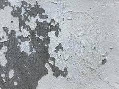 豊橋市　外壁塗装　塗装剥がれ　劣化